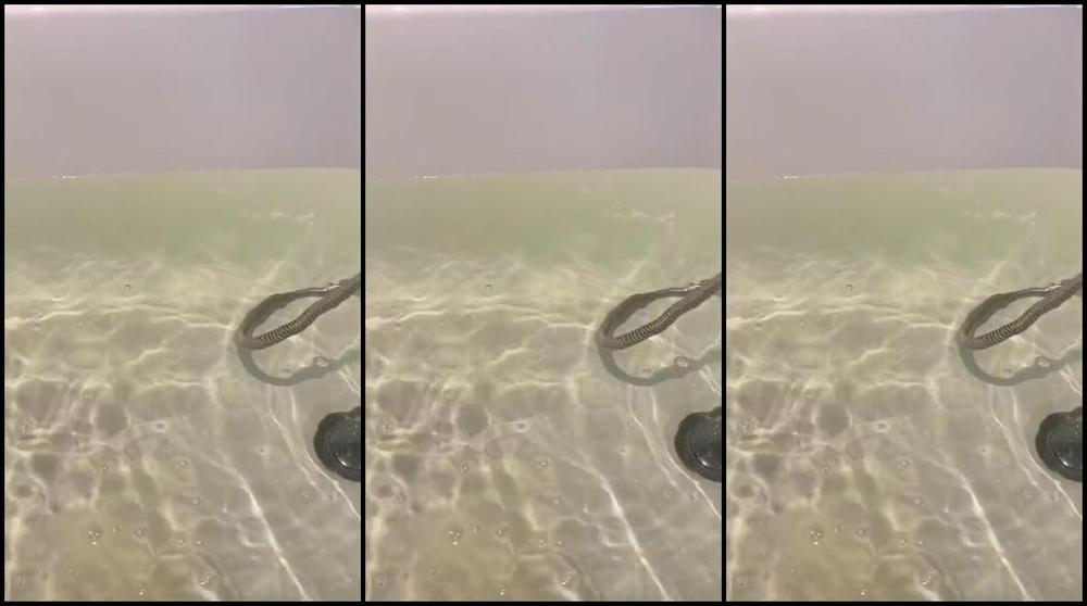 Worldsexiestfeet 01 30 2025 Onlyfans Video Oops I Forgot To Share This Video Again