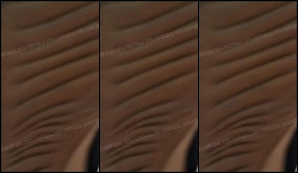 Naturaldiva Onlyfans One Of Your Most Important Life Purposes Your Life Is Amazing Slave