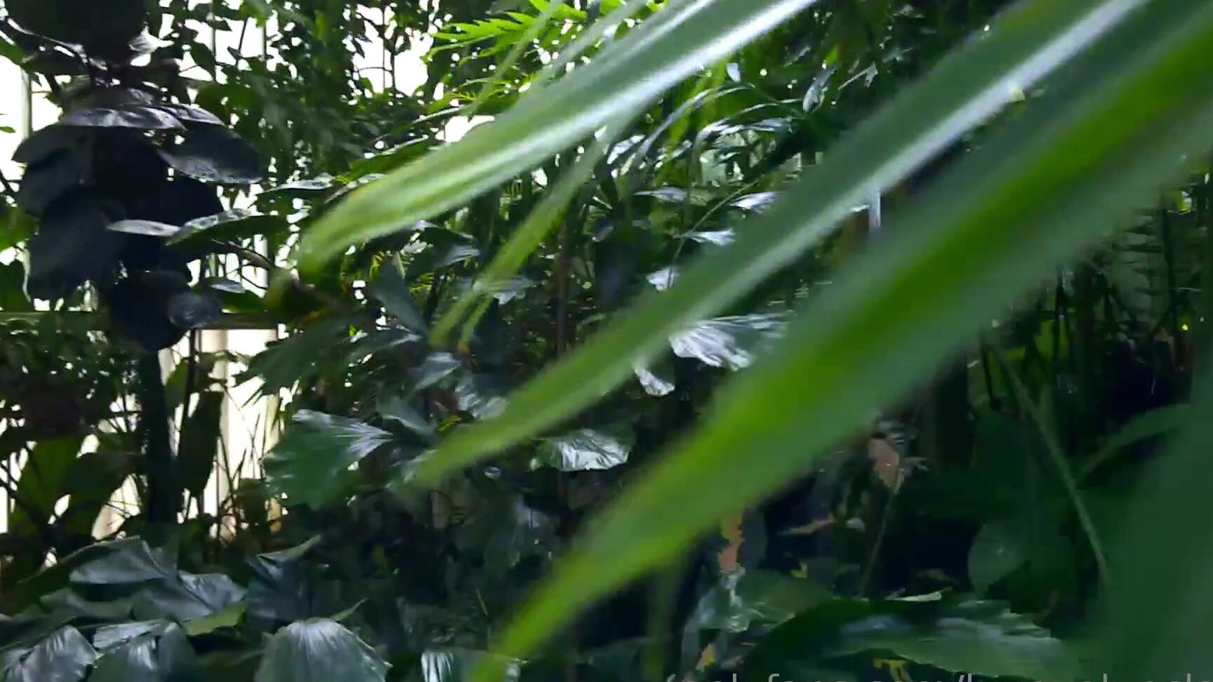 Luvevelynclaire Please Enjoy This Cute Little Adventure Video Shot Last Summer In San Fran