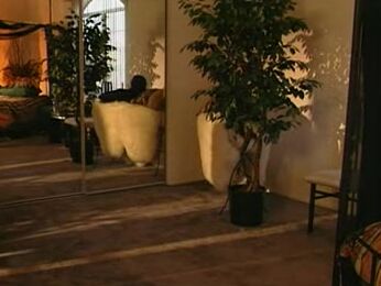 "Amanda Morrison, Kaylan Nicole, Misty Rain, Shelby Stevens, Alex Sanders, Chad Thomas, Ian Daniels, Vince Vouyer" Feature Kaylan Nicole 4 Stand by Your Man Metro