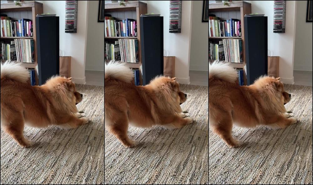 Peachdumpling1 0Hyjfpnp2U3366W0Qb0Ps Source