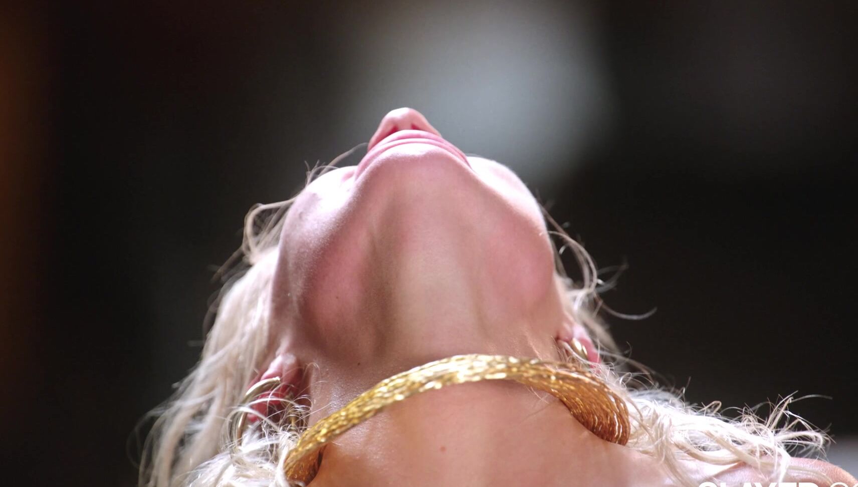 Ivy Wolfe Slayed Wild Things Vicki Chase