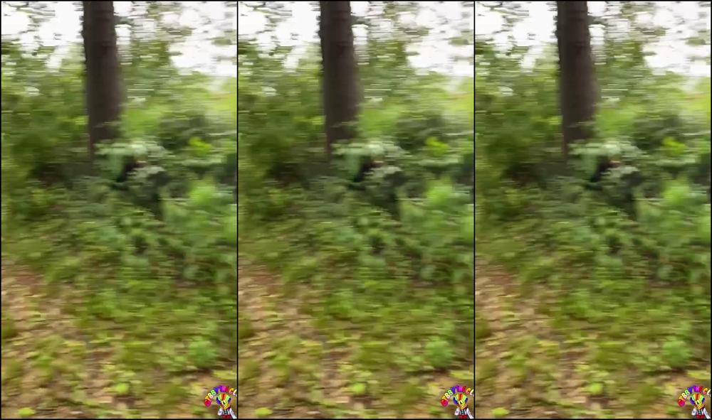 Gibbytheclown Never Know Who You Find In The Woods