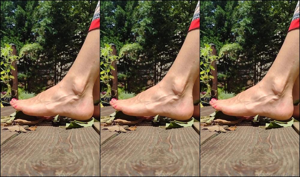 Kasysnowpremium Trampling Leaves Outside In Degrees