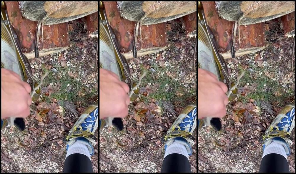 Queenfeetred Nicknamed Queenfeetred 12 27 2024 Onlyfans Video Stinky Socks After Do Skate I