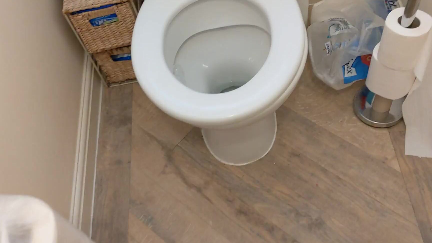 Desperation, Female Desperation, Pee, Taboo, Toilet Fetish sofiasaintxxx pee desperation really need a wee ManyVids