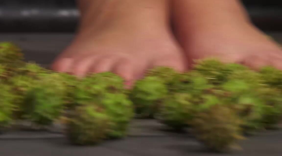 insertion, lezdom, conkers, kicking, trampling, orgasm, cuntstuffing Conker fitness Queensnake Studio