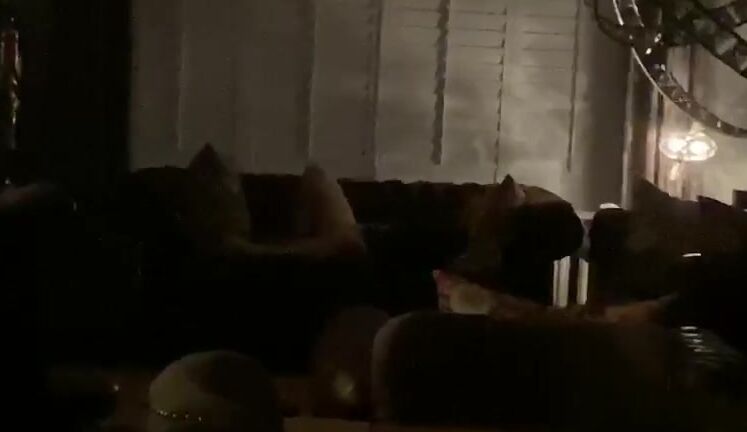 "SuzieLove212" amateur, housewives, milf, pussy play, voyeur Voyeur Catches me Wanking manyvids