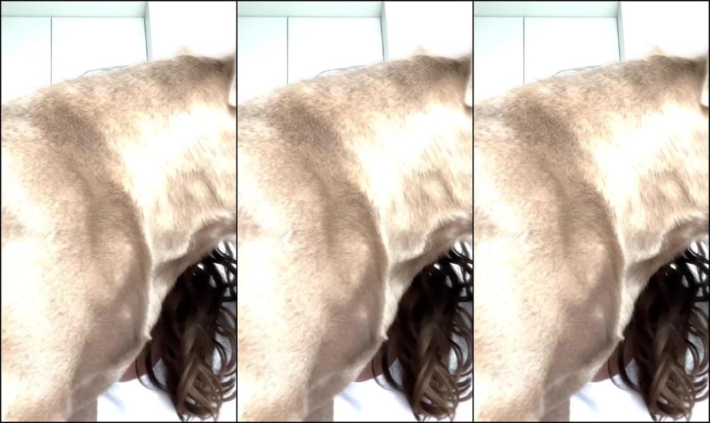 Bribunn You Cant Go Anywhere Without That Friend Drooling All Over Me And En