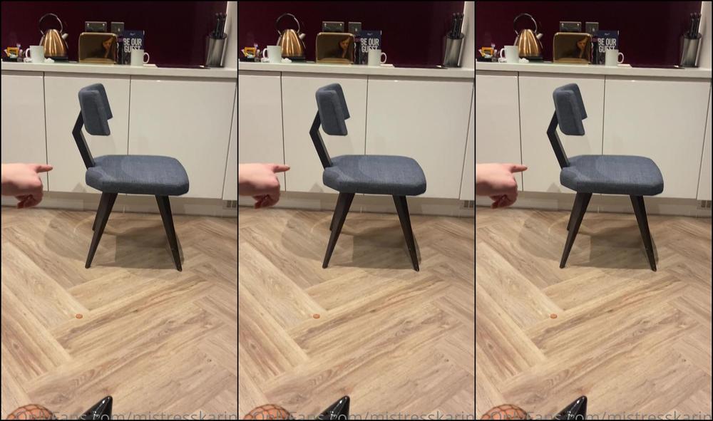 mistresskarina-19-10-2020-1102491197-pathetic-bin-fucker-are-you-enough-of-a-loser-to-hump-a-rubbish-bin-for-just-to-hear-me-a