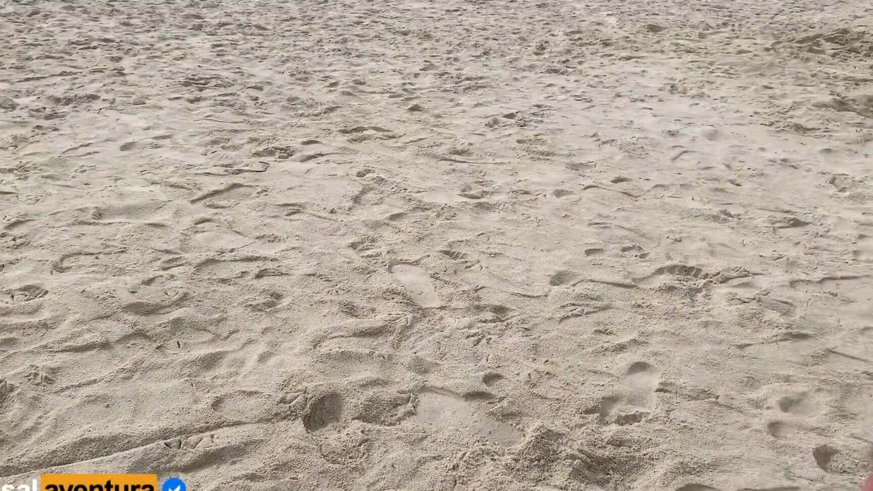 Очень Высокий Риск Мастурбации На Переполненном Пляже Real Amateur Pornhub Com