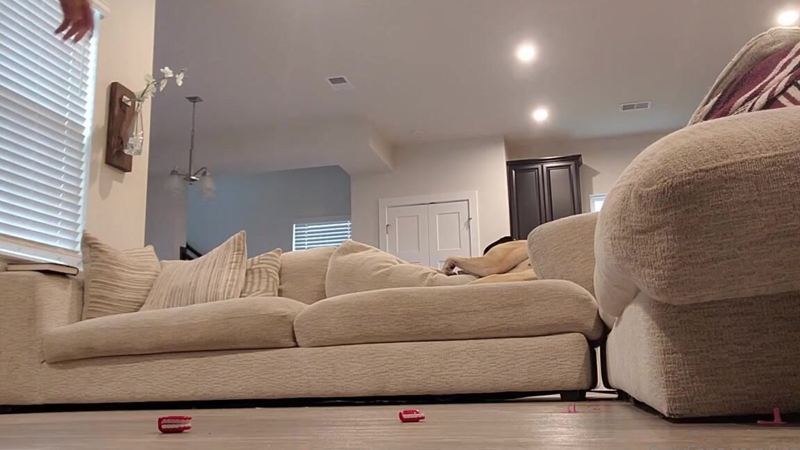 Lisaasmr Onlyfans Toy Crushing Madness Asmr Rp Custom