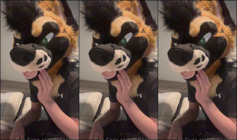 Palacewolf 741810574 Interested In Doing A Private Live Video Call With Me For A 01 514B2F58 030D 40E3 9A26 Fad83F197D1C