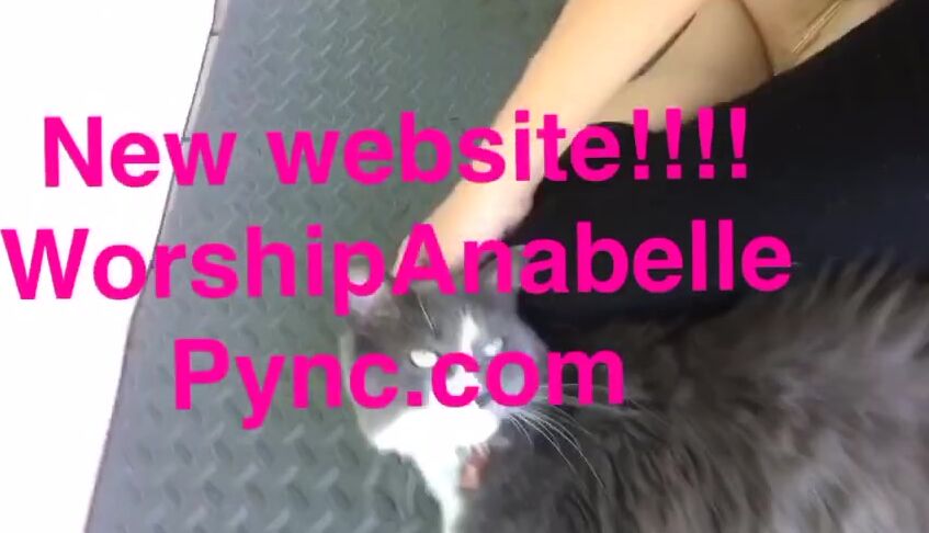 Goddess Anabelle Pync Nicknamed Anabellepync Onlyfans Video 97