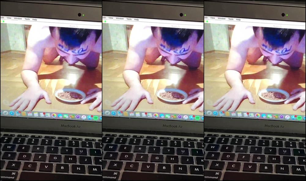 Iwantskylar Skype Loser Eats Dog Food Humiliation