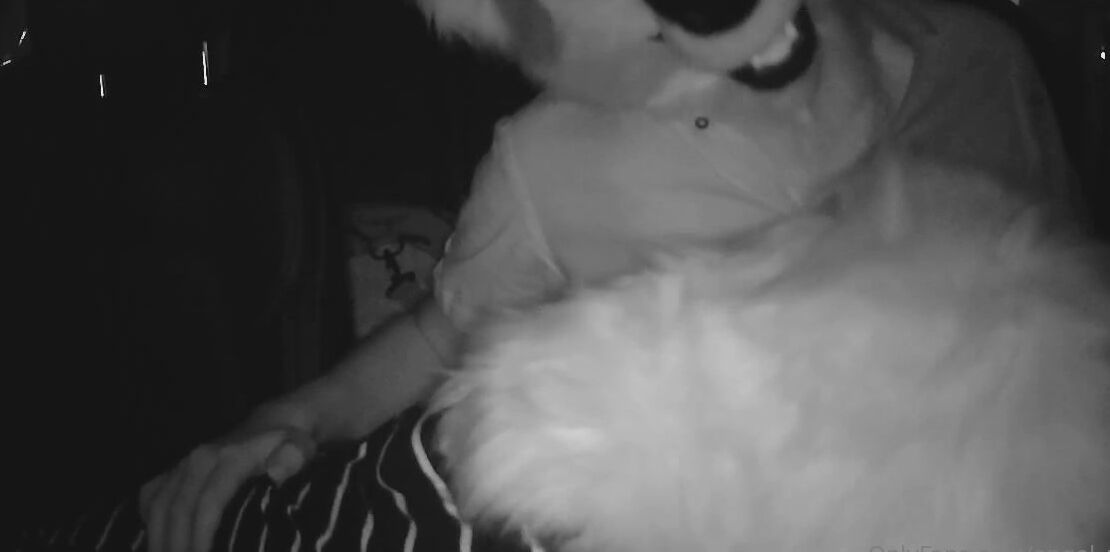 Angel Pups 407695319 Couldn T Even Make It Inside After Their Date Testing Out 01 87B2D399 66B8 48C0 Bcc2 91785D3F620E