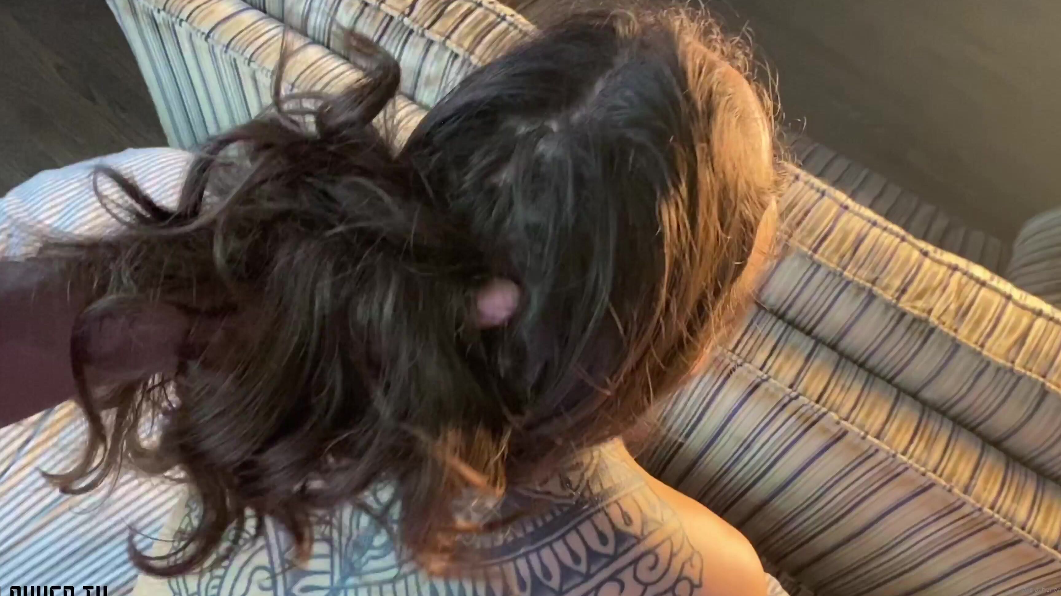 Jaxslayher So Vanessavegax Wanted To Get Dicked Down Last Night I Invited Her Over And We Fucked