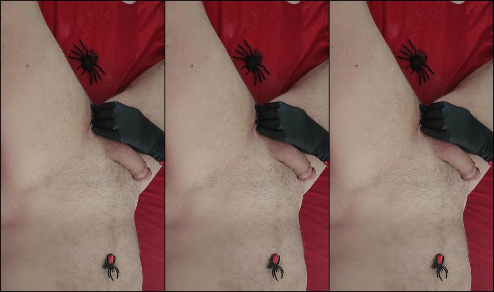 Skysugaring 3048324148 10 13 2023 Quick Release