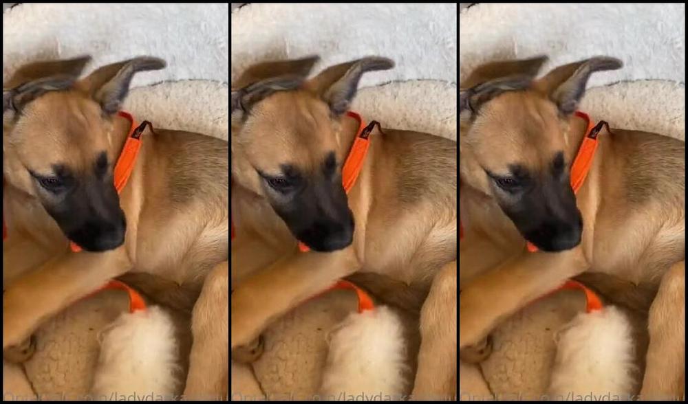 Ladydarkangeluk Onlyfans Who S Missing Seeing This Loon She S Growing So Much