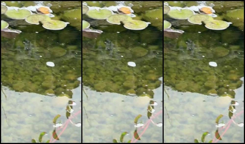 Goddesssevera 07 01 2024 Onlyfans Video A Non Fetishy Post From My Vanilla Life At Home