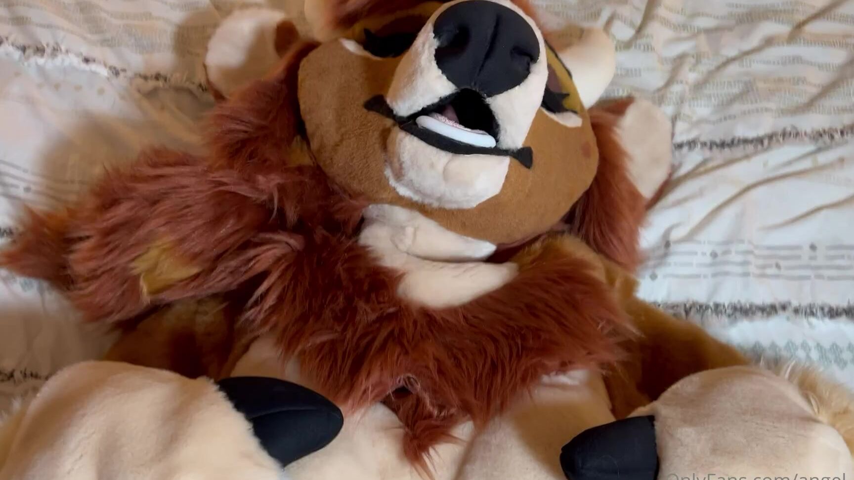 Angel Pups 391936564 Cowgirl Loves To Have Fun 03 739Bb315 F57C 49Ea 8Cfa 778Dc21E6B4F