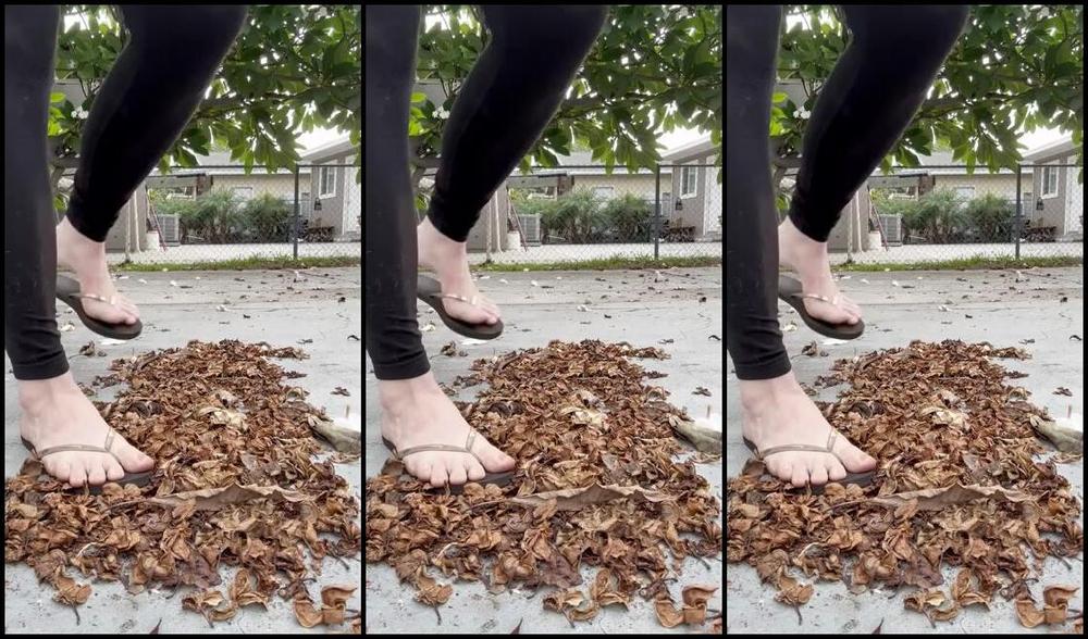 Athletoes Nicknamed Athletoes Onlyfans Absolutely Love This Sound Also I M Not Sure Why My Videos Lately Are Loading