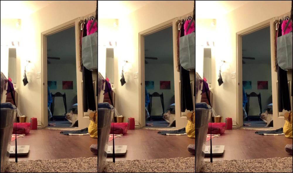 Heidi Lee Bocanegra Getting Rid Of Pants