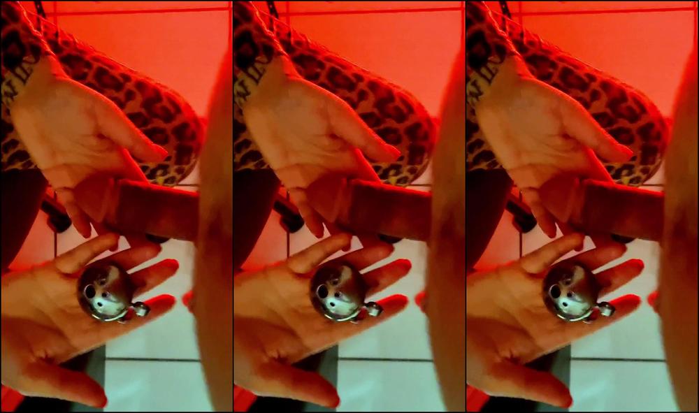 Madamefermans 3073035667 11 02 2023 Locking Big Dick In Micro Chastity Belt