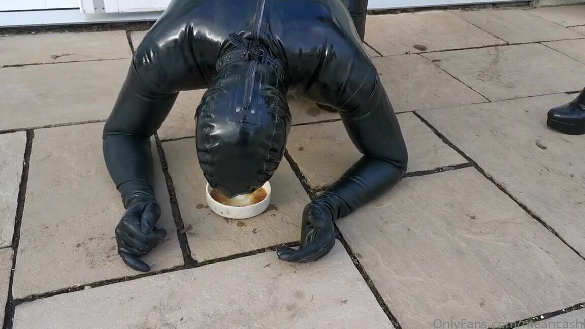 Meancashleigh Onlyfans Video 442