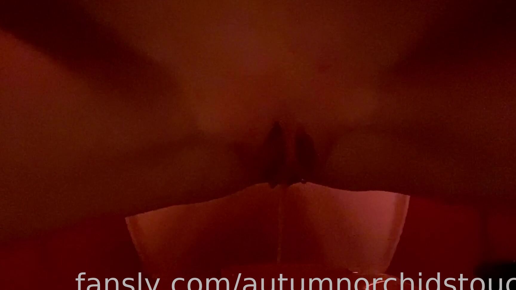 Autumn Orchid 607868439960236032