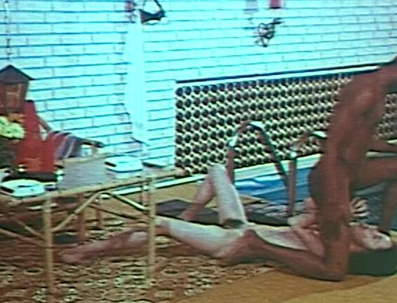 "Various." Classic, Loops, All Sex 1970s Fuck Fest - Humongous Black Cocks CD Film,Connoisseur,Exciting Film,Master Film,Swedish Erotica,Tenill,Diamond Collection