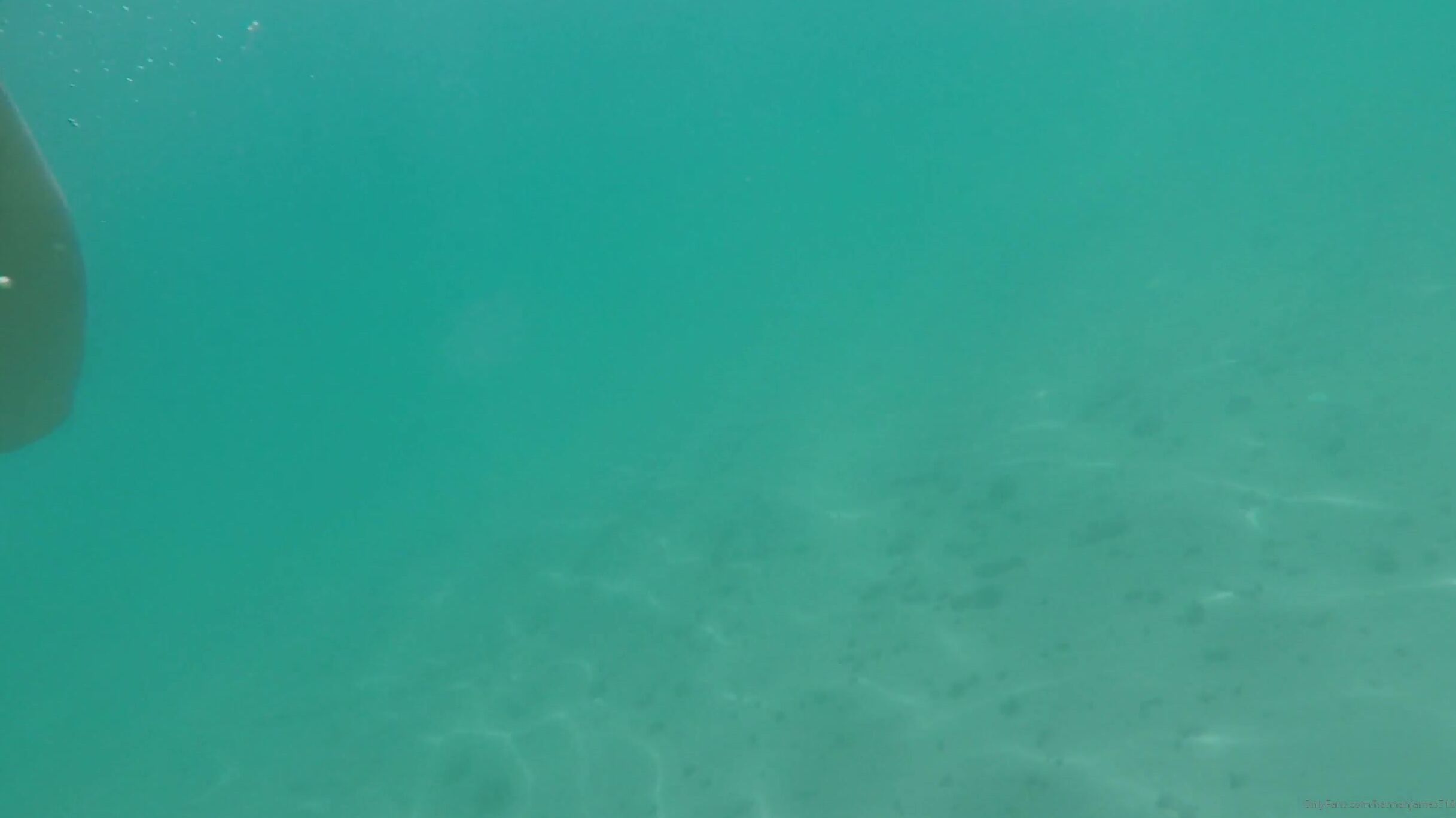 Hannahjames The Og Dorkel Diver