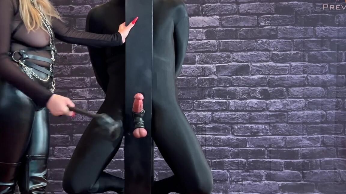 Kittybegood Nicknamed Mskittybegood 08 30 2024 Onlyfans Video New Video Alert Amp Preview Cum Slave Gets Cock Whipped Amp Post Orgasm Torment Jerking