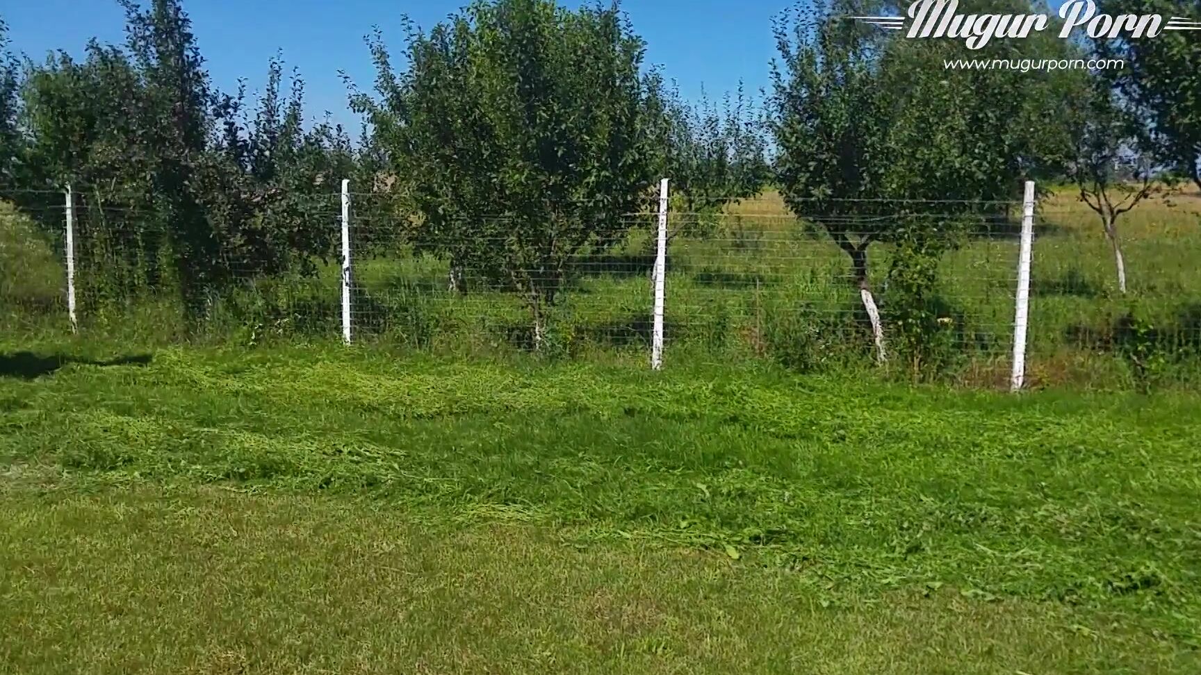 Back Stage Mugur Porn Privat Life Sex Movies Featuring Mug