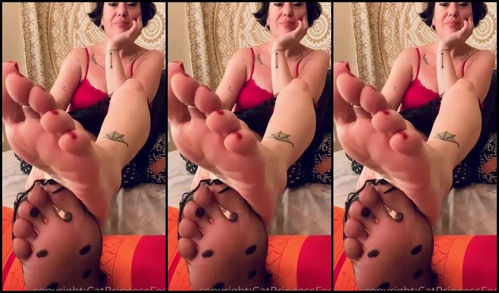 Catprincessfeet Onlyfans Do You Like The Sound Or Touch Of Nylon Socks Better Scroll To End For Video 26