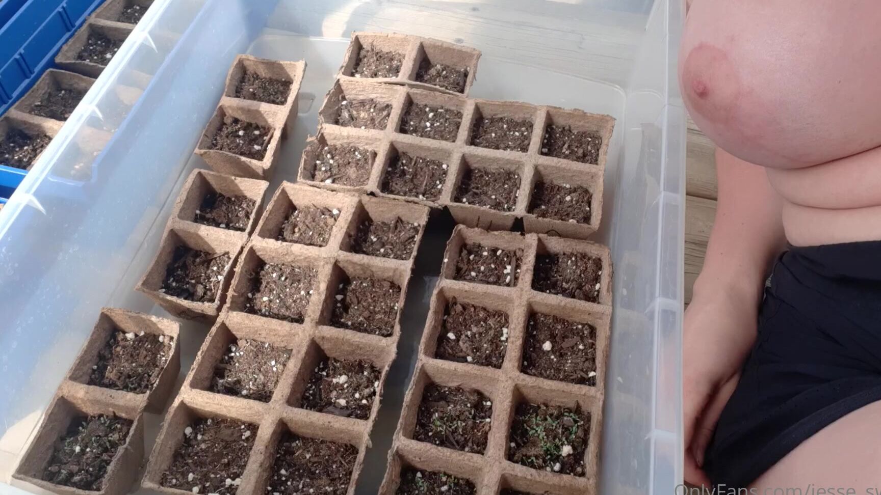 Jesse Switch 359866398 05 25 2020 I Promise I Do Not Expect You Guys To Care About My Stupid Flowers Hahahaha But