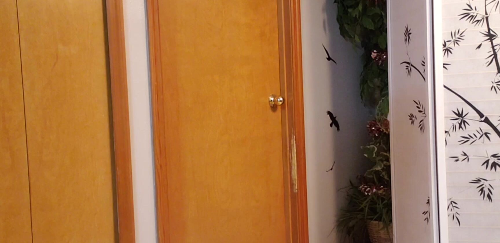 "Stormi Winters" milf, jeans fetish, jeans/pants wetting, kink, pee PISSED MY JEANS IN THE HOUSE manyvids