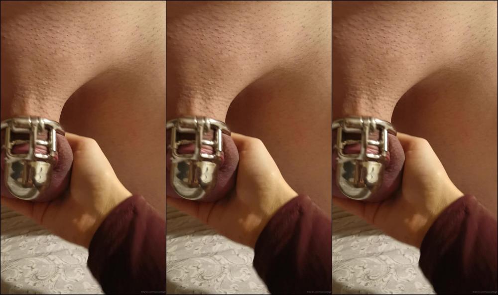 Meancashleigh Onlyfans Video 492