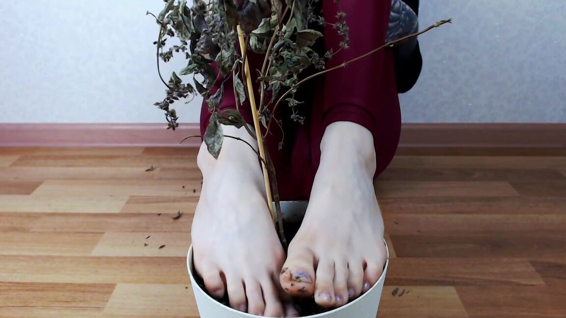 Foot Fetish, Dirty Feet, ASMR, Licking, Foot Domination megaplaygirl licking dirty foot asmr ManyVids
