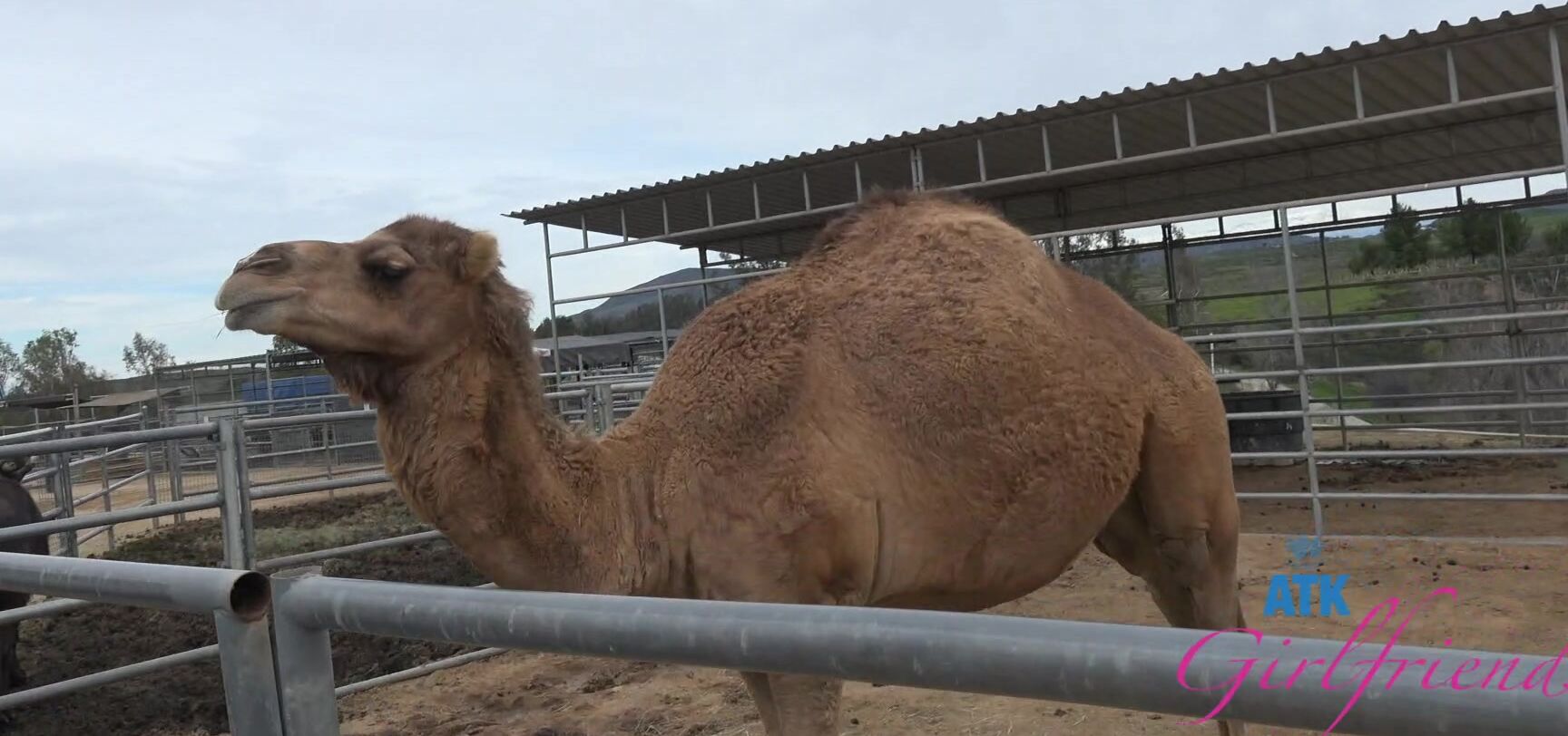 "Serena Hill" POV, Smoking, Public Nudity, Pissing Serena Hill - Temecula 3 SiteRip