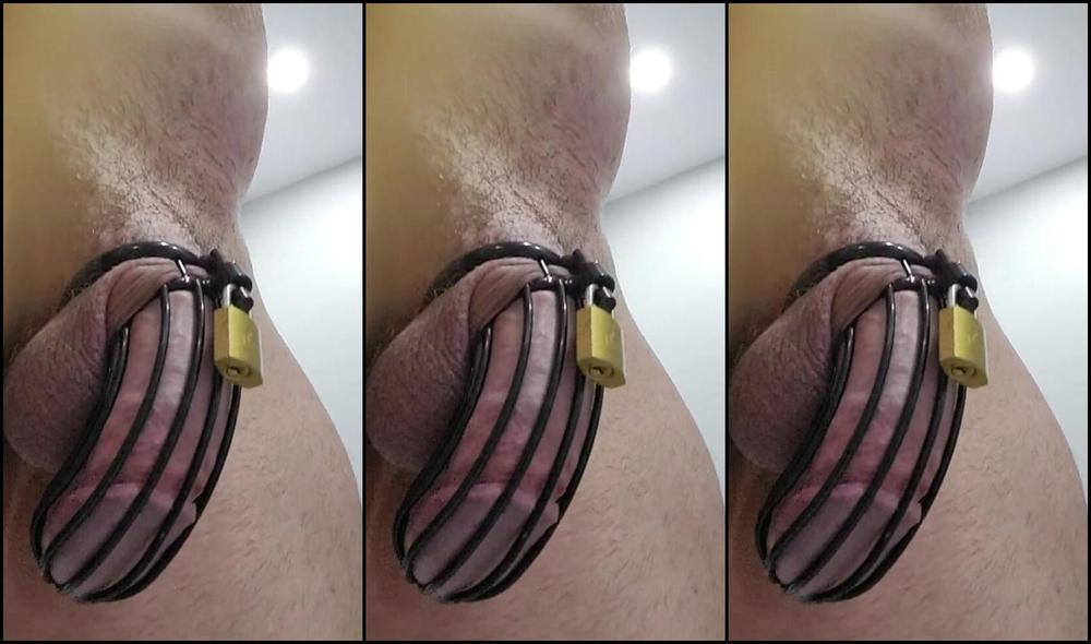 "Frugaphur" Kink, Ass Fuck, Gay Masturbate, Big Cock, Prostate Milking, Prostate Massage, New Toy, Gay Chastity Cage, Cum Leaking, Gay Denial, Chastity, Quickie, Suggest Frugaphur Couldn t wait trying my new toy I just got Prostate milking in chasity