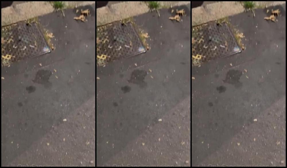 Deapistilla Nicknamed Deapistilla1 07 10 2023 Onlyfans Video Si Esce Serata Perversa