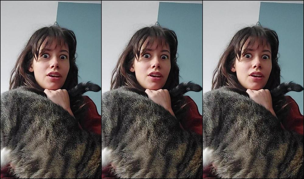 Avaxofoxx I Look Like A Crazy Lady Here Proof I M Not Lying I Gueeeeess