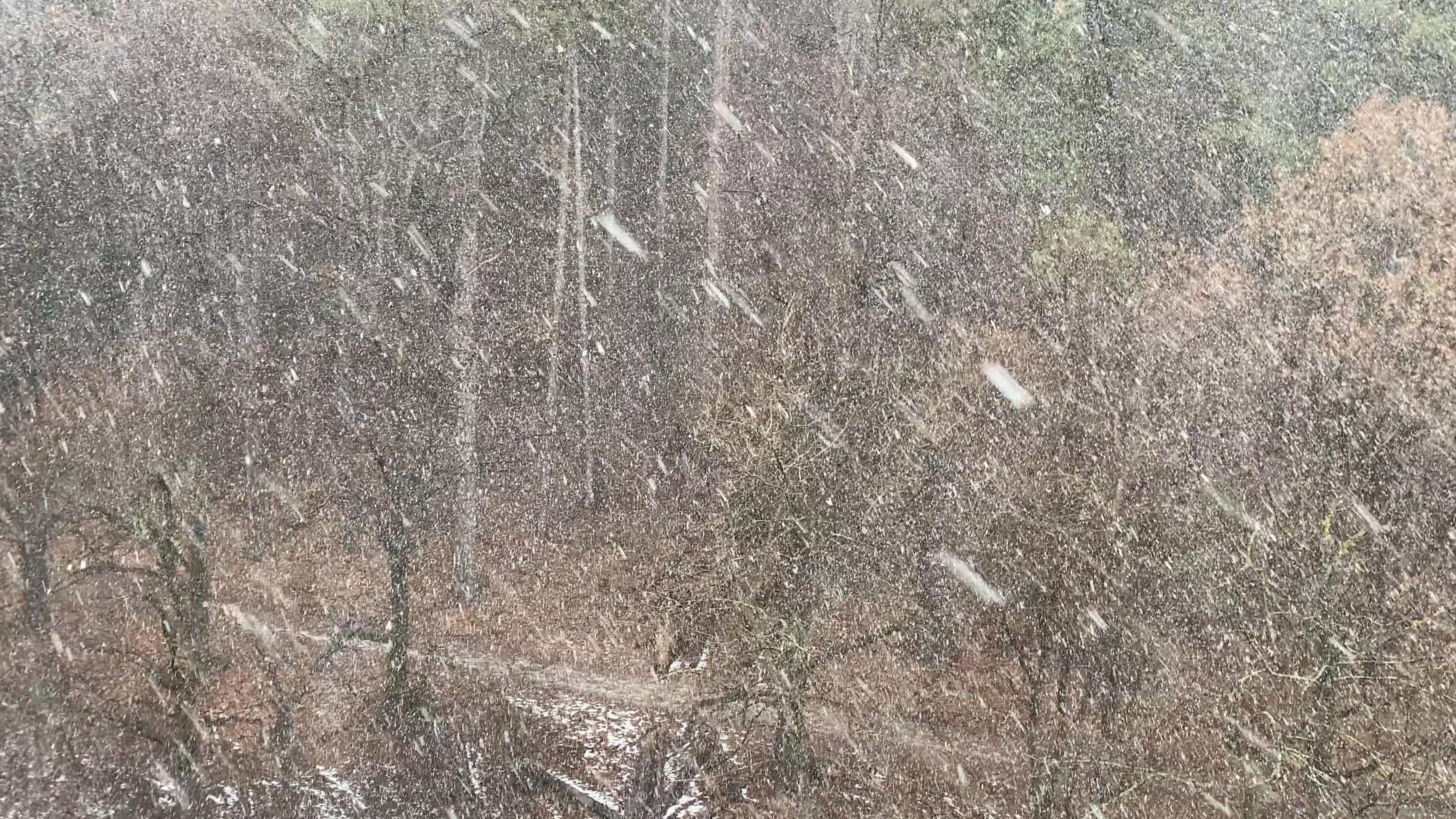 Anisyia The Winter Is Back