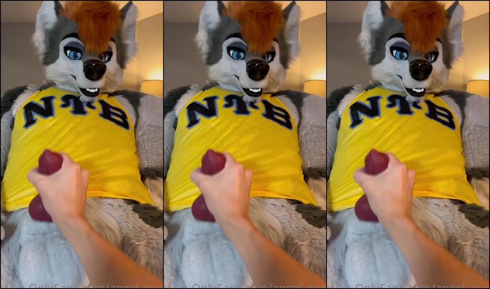 Angel Pups 404530391 Helping The Big Wolf Relax After The Game 01 71Df35Ac Ebd8 4834 9F1A Fb8D9106Be13