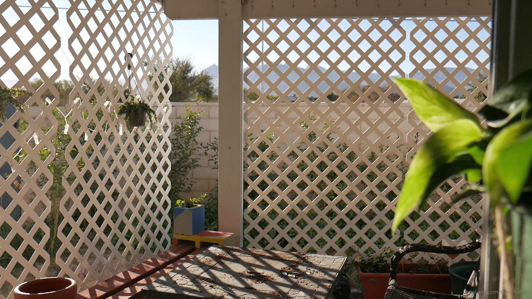 Summerhart This Is Not Smut It S Just A Really Peaceful Minute Video Of My Back Garden I Submitt