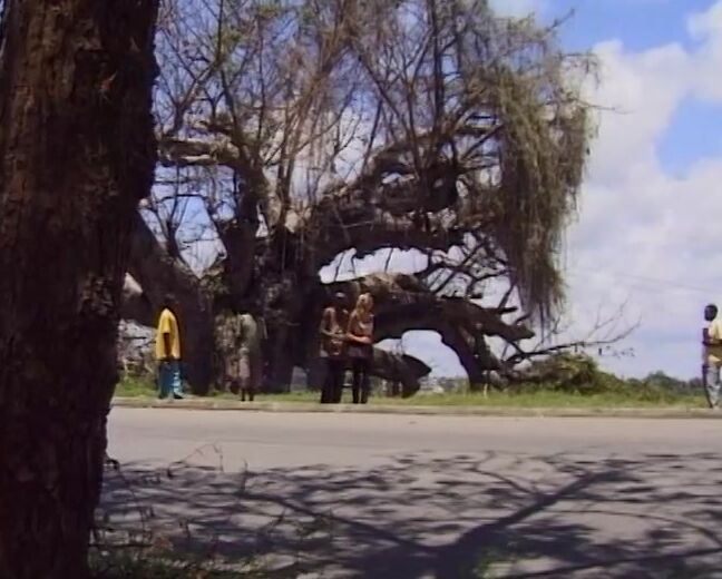 Ddb8517 Dbm Dolly Buster The Lady Publisher 17 Geheime Lust In Afrika