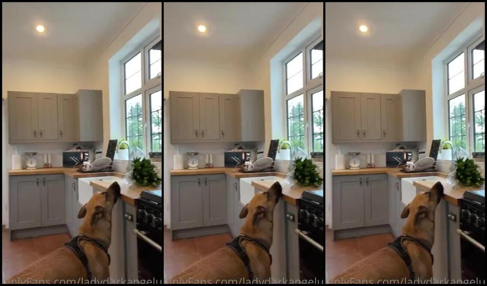 Ladydarkangeluk Onlyfans Please Listen Xxx