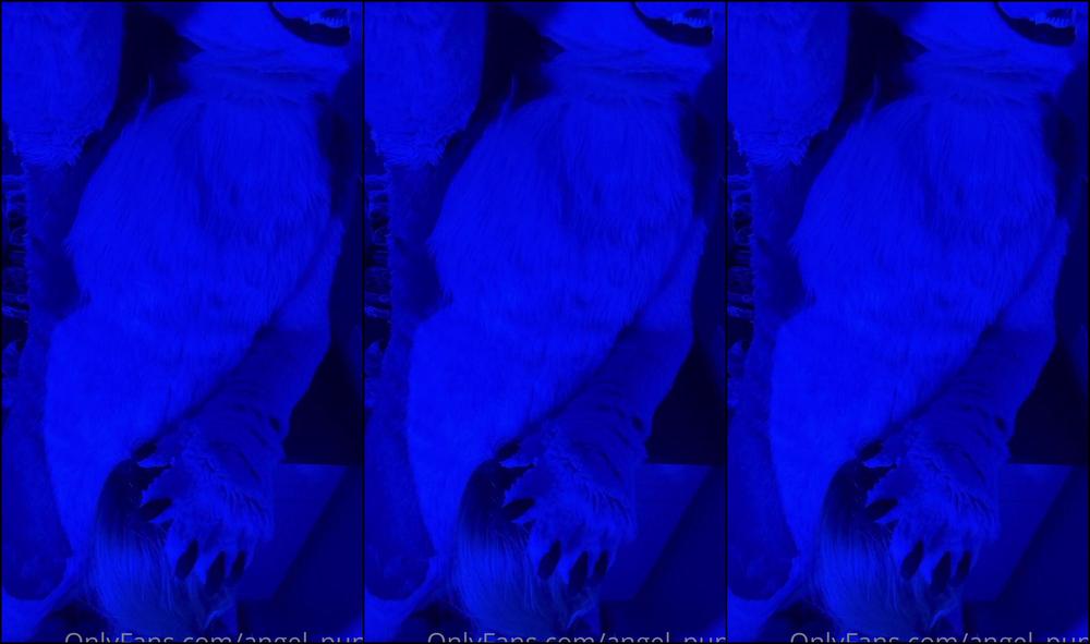 Angel Pups 704819504 Little Bonus Clip Not Included In The Main Vid 01 9D64775C 2587 446C 9C56 6864D19A9B9A