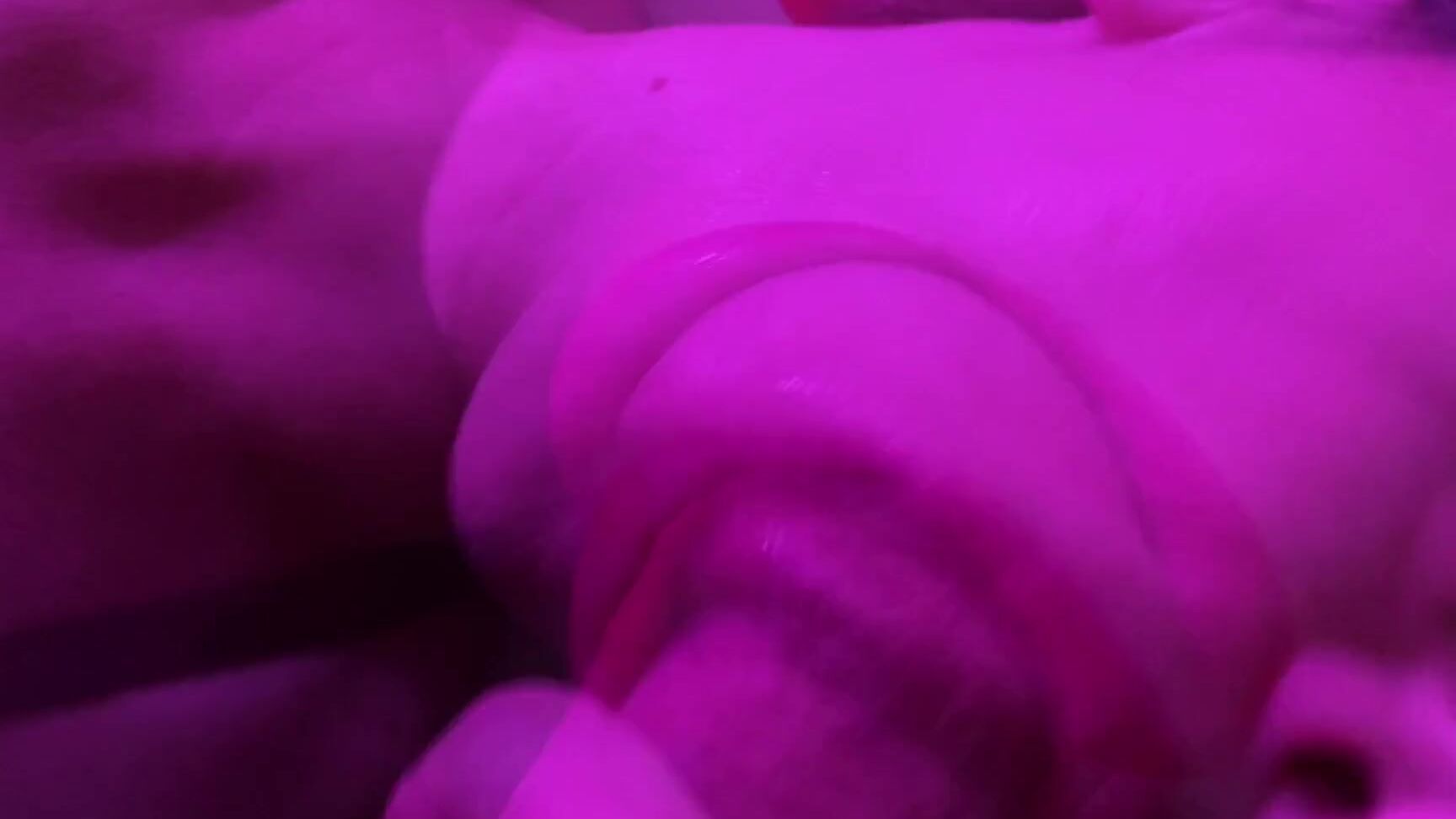 Pantyhose Leopard Make Me Cum On Her Face Slowlytease